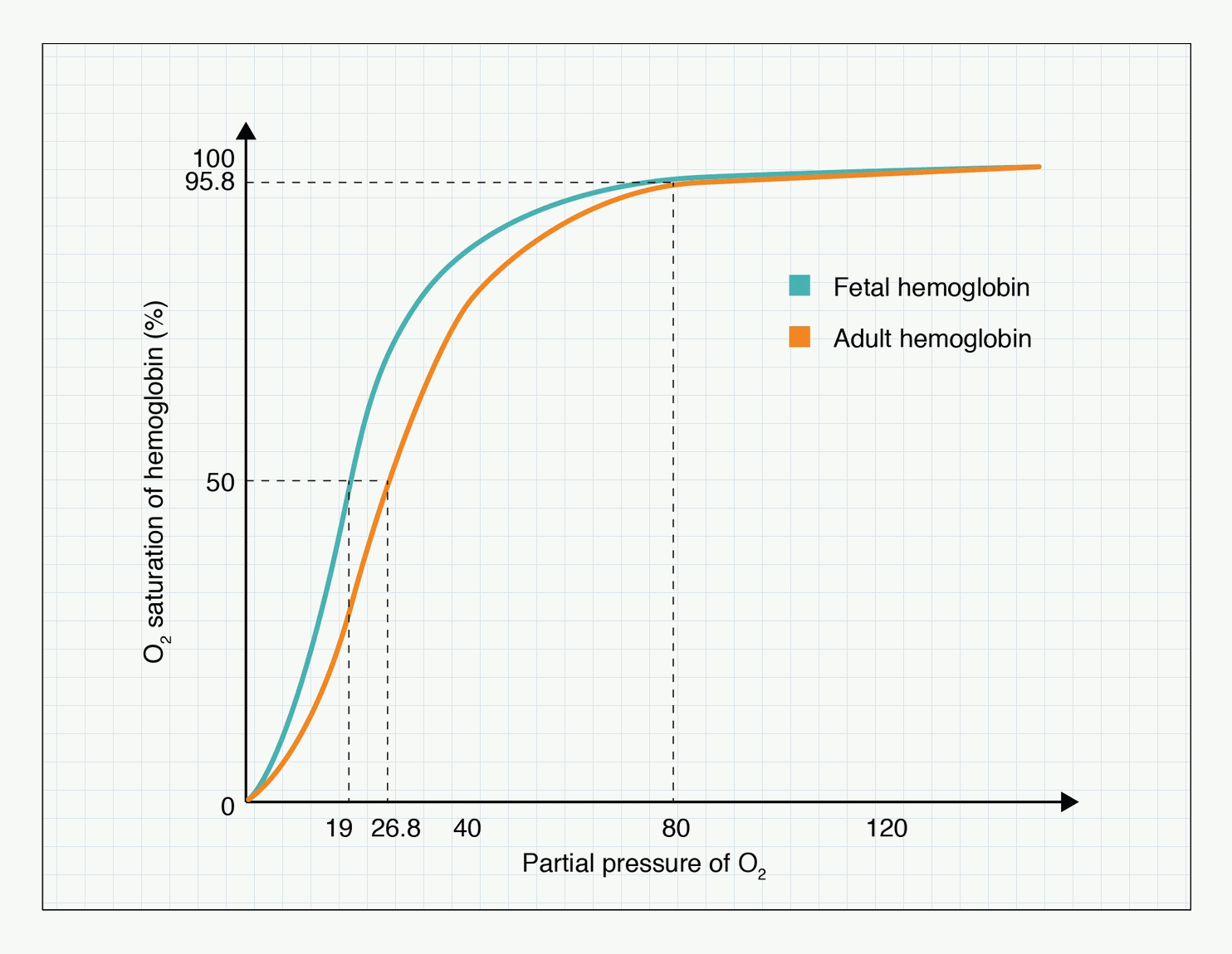 Graph comparing fetal and adult haemoglobin oxygen affinity.