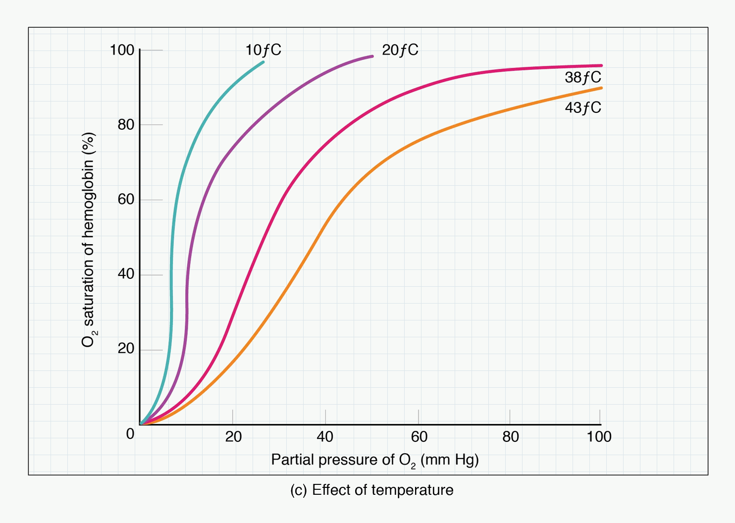 Haemoglobin oxygen dissociation curve showing temperature effects.